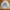 Converse Streetwear Sweater Pria white blue photo 2