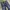 G-Star RAW Streetwear Biker Jeans Pria blue photo 2