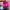 Crocs Casual Sandals & slide Wanita pink photo 4