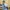 Le Coq Sportif Vintage Windbreaker Pria white photo 3