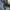 Levi's Vintage Casual Jeans Pria blue photo 7
