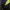 Gorpcore Sportswear Hat Pria green black photo 2