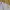 Giordano Streetwear Casual shirt Pria multicolor photo 6