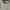 Casual Culotte Wanita white brown photo 2