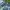 Lee Vintage Casual Jeans Pria navy photo 4