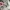 Supreme Vintage Minimalist Sweatshirt Pria gray photo 4