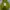 Casual Sweater Pria green photo 1