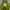 Casual Sweater Pria Green