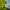 Casual Sweater Pria green photo 4