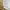 Yves Saint Laurent YSL Vintage Casual Harrington jacket Pria white photo 5