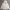 Feltics Streetwear Minimalist Hoody Pria white photo 1