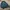 Lacoste Vintage Casual Harrington jacket Pria green photo 6