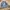 ZARA Vintage Casual Harrington jacket Pria gray photo 1