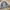 ZARA Vintage Casual Harrington Jacket Pria Gray