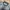 ZARA Vintage Casual Harrington jacket Pria gray photo 4