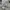 ZARA Vintage Casual Harrington jacket Pria gray photo 7