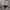 GAP Streetwear Casual Kids silver photo 4