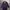 Burberry Luxury Pea coat Wanita purple photo 1