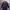 Burberry Luxury Pea Coat Wanita Purple