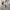 Uniqlo Streetwear Sportswear Windbreaker Pria white photo 2