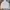 Uniqlo Streetwear Sportswear Windbreaker Pria white photo 1