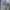 Casual Baju muslim Wanita blue photo 5