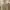 Under Armour Streetwear Casual T-shirt Pria cream photo 2