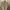 Under Armour Streetwear Casual T-shirt Pria cream photo 3