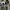 Goth Emo Short Wanita white gray photo 3