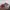 New Balance Sportswear Sneakers Pria red gray photo 1