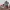New Balance Sportswear Sneakers Pria red gray photo 2