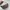 Gucci Vintage Luxury Handbag Wanita Tan Cream