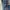 Levi's Casual Jeans Pria blue photo 8