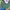 Mizuno Vintage Casual Hat Pria green blue photo 2