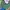 Mizuno Vintage Casual Hat Pria Green Blue