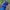 Mizuno Vintage Casual Hat Pria green blue photo 1
