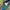 Mizuno Vintage Casual Hat Pria green blue photo 3