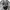 Stussy Casual Hoody Pria gray photo 4