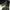 The North Face Casual Hoody Pria black photo 4
