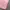 Scarf Wanita pink photo 3