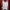 Champion Streetwear Suit Pria white red photo 2