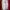 Champion Streetwear Suit Pria white red photo 1