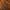 Rucas Luxury Formal Shirt Pria Brown