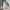 MLB Vintage Y2K Windbreaker Pria white photo 3