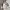 MLB Vintage Y2K Windbreaker Pria white photo 1