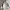 MLB Vintage Y2K Windbreaker Pria White