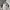 MLB Vintage Y2K Windbreaker Pria white photo 2