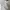 MLB Vintage Y2K Windbreaker Pria white photo 8