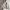 Streetwear Casual Windbreaker Pria gray photo 6
