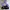 Adidas Sportswear Casual Windbreaker Pria purple black photo 1